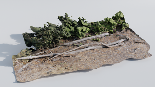 Branch Rubble preview image